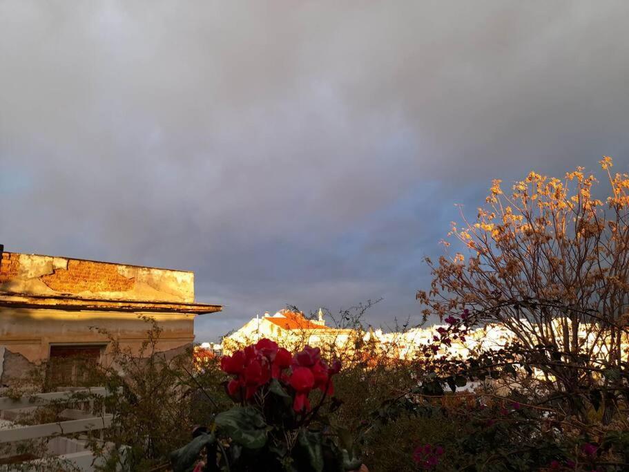 At The Foot Of Acropolis. Atenas Exterior foto